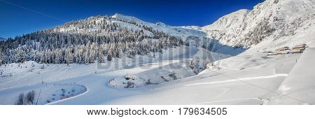 Trees Covered By Fresh Snow In Austria Alps - Zillertal Arena, Austria.