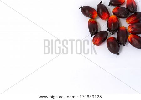 Fesh palm oil seed on white background