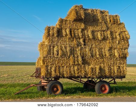 Trailer With Hay