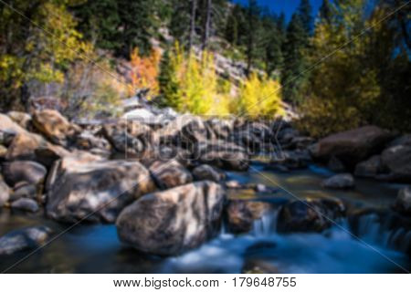 Forest stream with stones in blurred for background