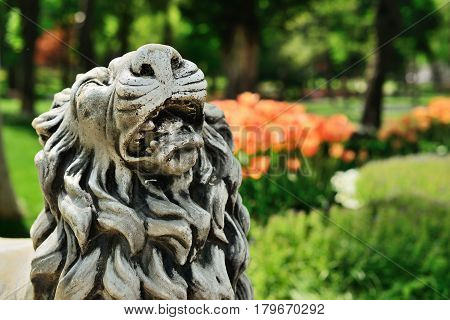 Lion`s head sculpture and tulips on background in Gulhane Park Sultan Ahmet Istanbul Turkey.