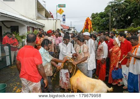 Hindu Celebration Of Pandiale At Saint Andre On La Reunion