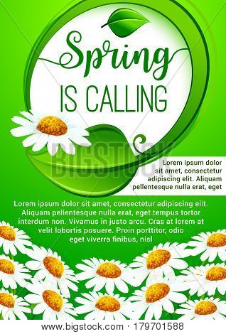 Spring holidays floral banner. Spring flower and green leaf arranged into round frame with greeting wishes, adorned by blooming daisy flowers. Springtime themes design