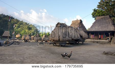 Bena a traditional village with grass huts of the Ngada people and two chickens on the square in Flores near Bajawa Indonesia.