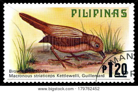 STAVROPOL RUSSIA - March 17 2017: A stamp printed by Philippines shows bird Cinavia babbler Philippine animals circa 1979.