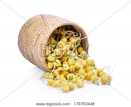 snow pea sprouts in wooden basket isolated on white background