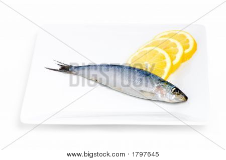 Sardinky a citronem