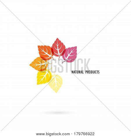 Circle of colorful leaves icon with nature concept.Leaves vector logo design template.Design for Business logoproduct brandbanner or abstract symbol.Vector illustration.