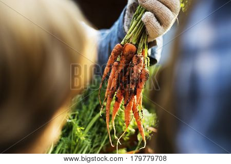 Farmers with fresh organic product
