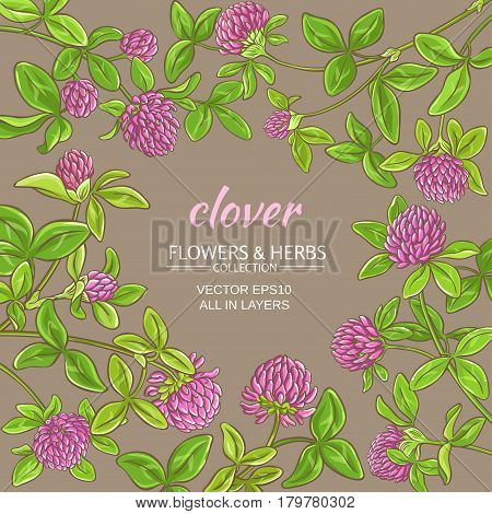 clover flowers vector frame on color background