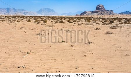 Sphinx Rock In Wadi Rum Desert