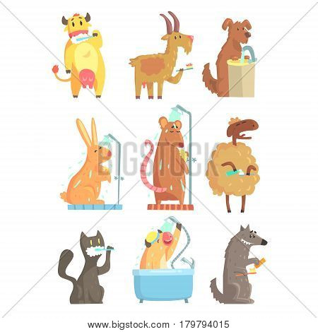 Funny animals taking a shower and washing, set for label design. Hygiene and care cartoon detailed Illustrations isolated on white background