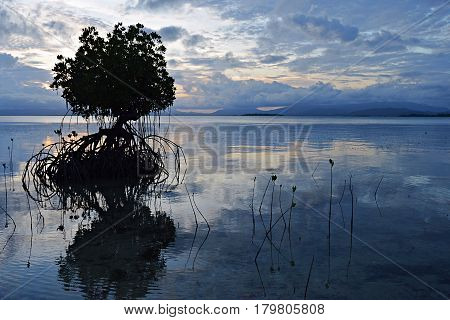Pamilacan is a small island near Bohol in the Philippines