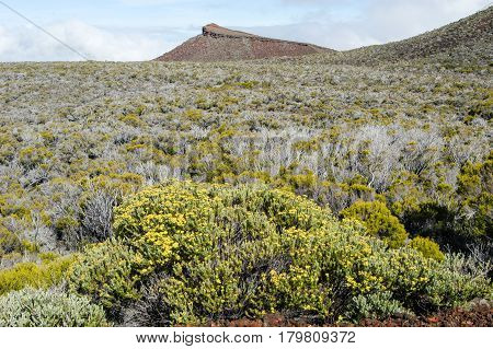 Piton De La Fournaise Volcano On La Reunion Island