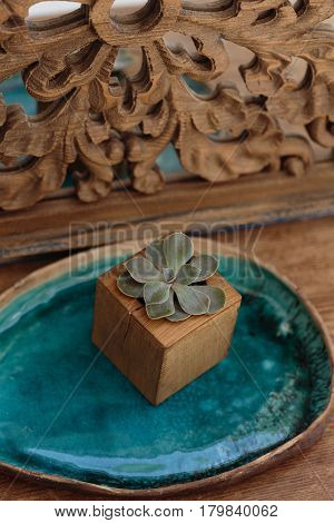Succulent In Wooden Box