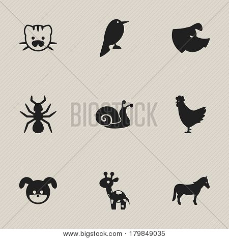 Set Of 9 Editable Zoo Icons. Includes Symbols Such As Philomel, Giraffe, Bedbug And More. Can Be Used For Web, Mobile, UI And Infographic Design.