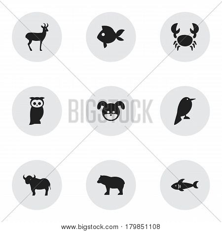 Set Of 9 Editable Animal Icons. Includes Symbols Such As Ox, Owl, Reindeer And More. Can Be Used For Web, Mobile, UI And Infographic Design.