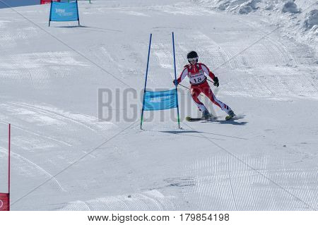 Diana Baptista During The Ski National Championships