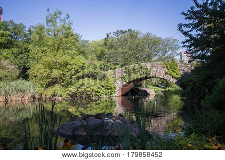 Gapstow bridge over the pond and plants at Central Park