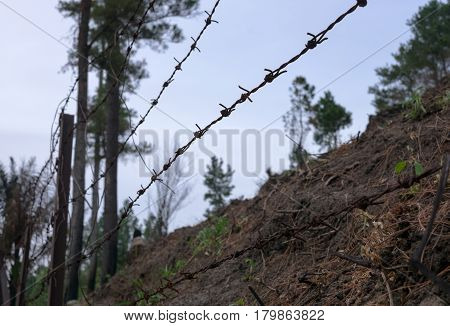Barded wire in the forest with scorched earth. Focus in front background is blurred.