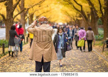 TOKYOJAPAN- NOV 22 :Tourists at Meiji Jingu Gaien in Tokyo Japan on November 22 2016.Meiji Jingu Gaien that has beautiful Ginkgo along the lenght of the street famous for autumn spot in TokyoJapan