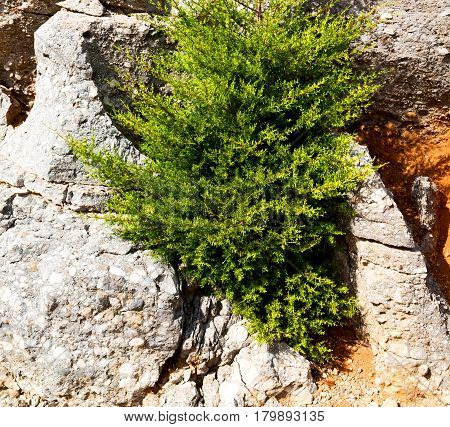 From The Hill In Asia Turkey Selge Old Architecture Ruins And Nature