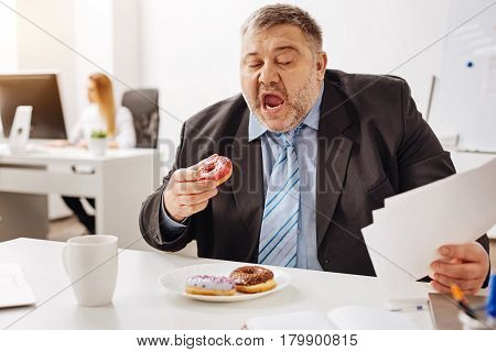 Consuming calories. Funny busy overweight guy eating a doughnut while sitting at his desk buried in piles of papers