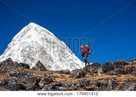Trekker Approaching Pumori Mountain In Khumbu Valley On A Way To Everest Base Camp