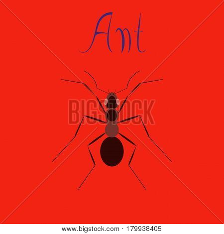 flat icon on stylish background cartoon ant