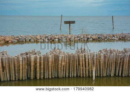 Bamboo shore erosion along the waves of the sea.