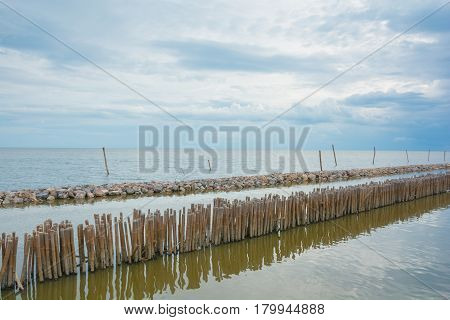 Bamboo shore erosion along the waves of the sea.