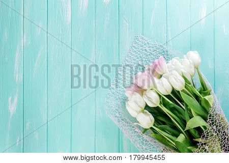 Pink and White Very Tender Tulips on Green Blue Wooden Background. Copyspace