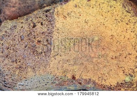 Closeup texture of slice of old rye bread with mold
