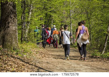 Group of people walking by hiking trail