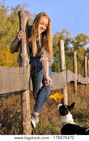 cheerful teenage girl playing with outbred dog in the autumn day