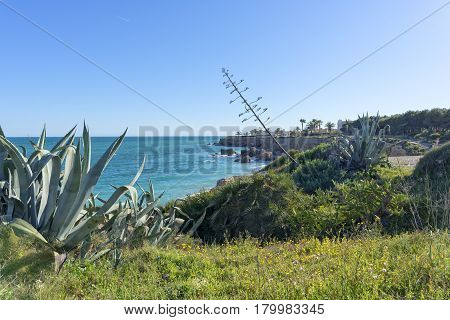 The Coast Of Vinaroz In Castellon, Spain