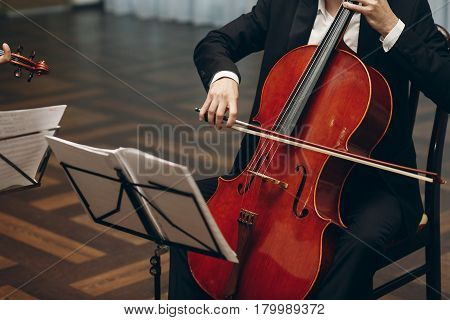 Elegant String Quartet Performing At Wedding Reception In Restaurant, Handsome Man In Suits Playing
