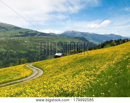 Valley View Surselva