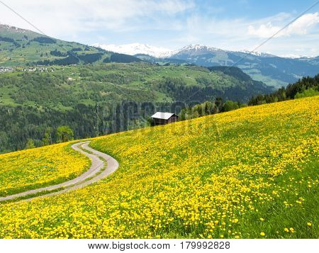 Valley View Surselva