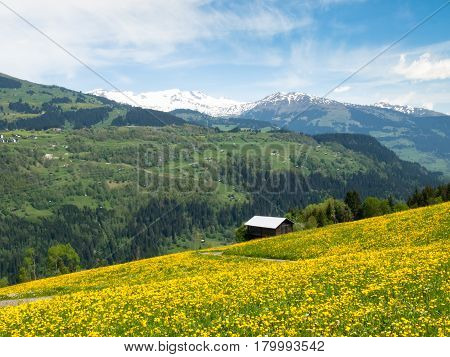 Valley View Surselva