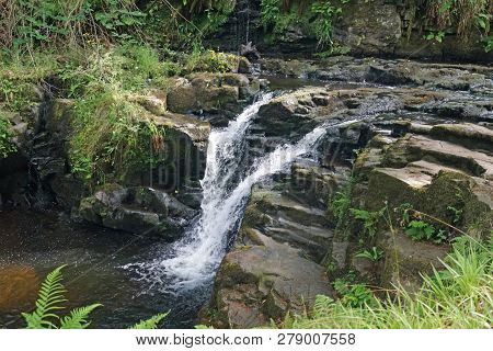 Glenariff Forest Park - Waterfall Trail