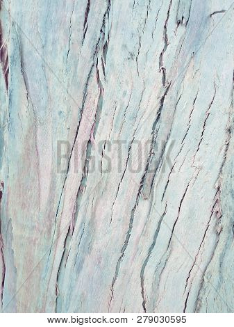 Eucalyptus Bark As Background, Eucalyptus Bark As Background, Wood Texture, Wood Backgroundwood Text