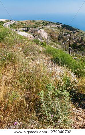 Summer  Llogara Pass View  With Dry Trees And Thistle On Slope  And Sea Water Surface (albania)
