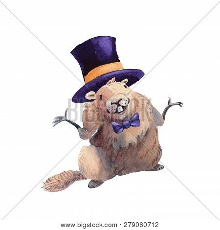 Happy Groundhog Day - Hand Drawn Watercolor Illustration Character Card Groundhog