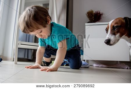 Little Toddler Boy Play At Home With His Jack Russell Terrier Dog.
