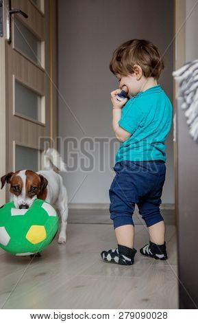 Little Toddler Boy Play At Home With His Jack Russell Terrier Dog.