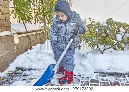 Little Caucasian Boy Shovels Snow In The Yard With Beautiful Snowy Rose Bushes. Child With Shovel Pl