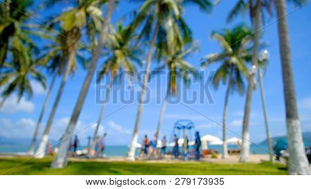 Defocused, Blurry View Up Or Bottom View Coconut Palm Trees Forest In Sunshine. Royalty High-quality
