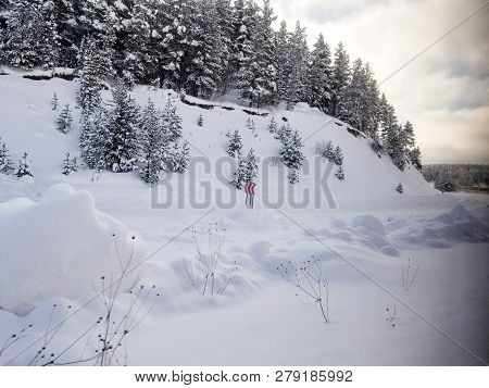 Winter Kars Turkey Dogu Express Train Tren Snow Tree New Year