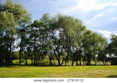 Paesaggio estivo vicino Stolin